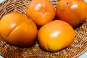 ゴマ入り柿 persimmons