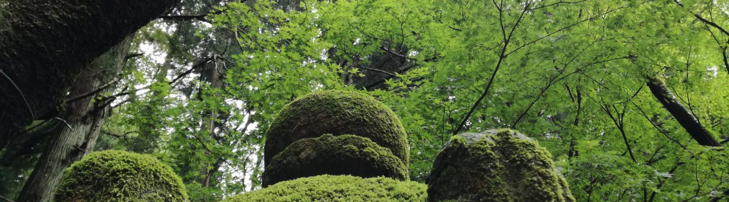 苔生す灯籠 Lantern is moss-covered.